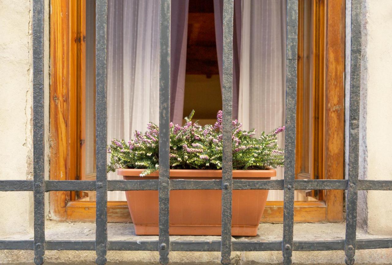 San Frediano District - Apartamento *